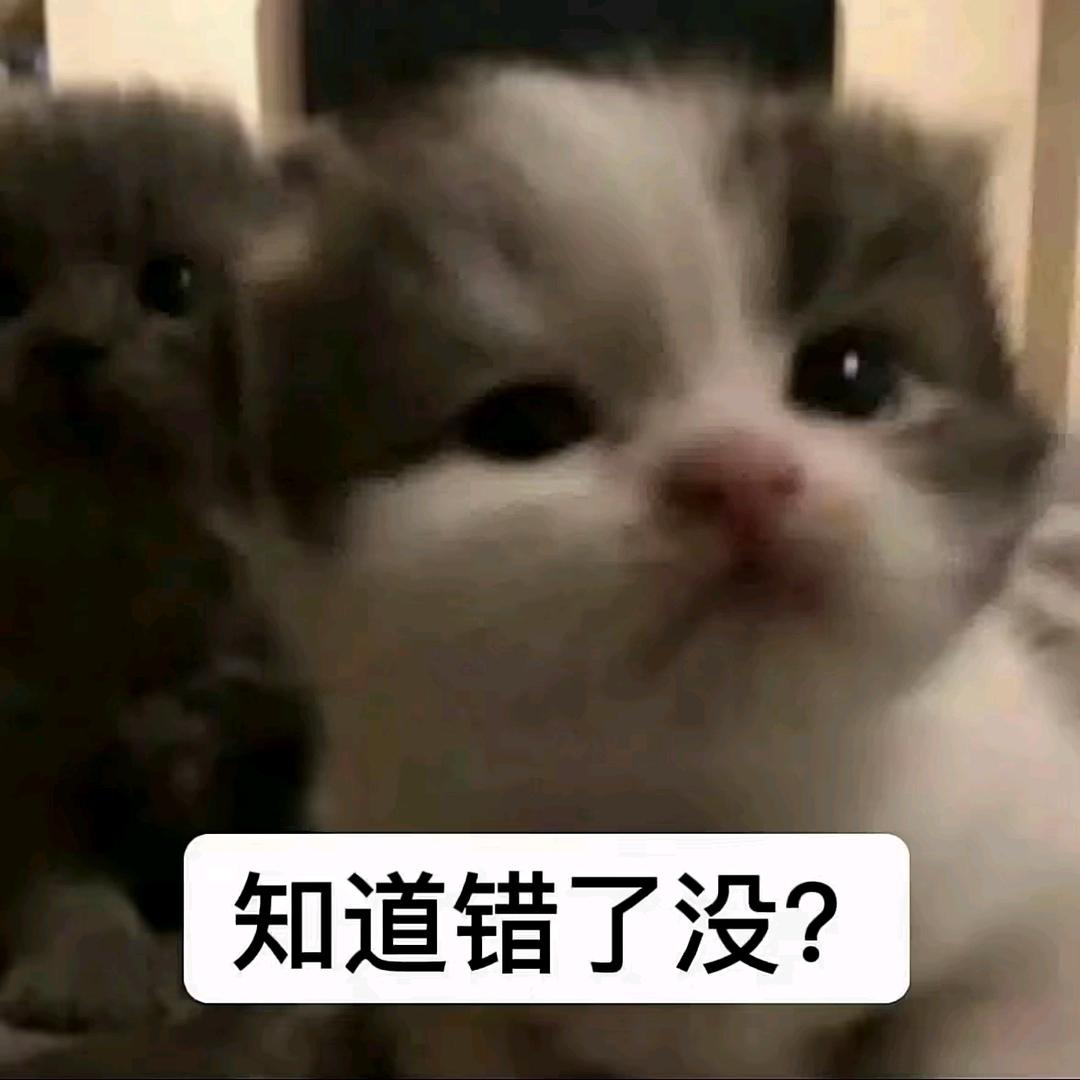 婧婧控