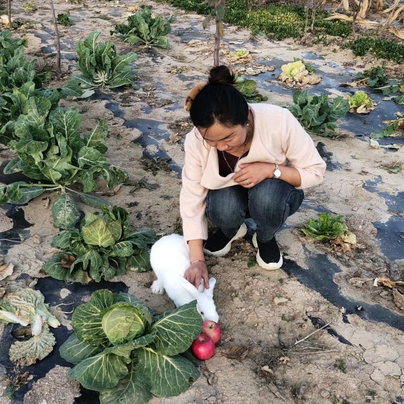 迷彩妈妈