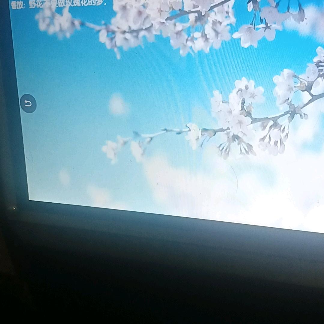 发发财888财888