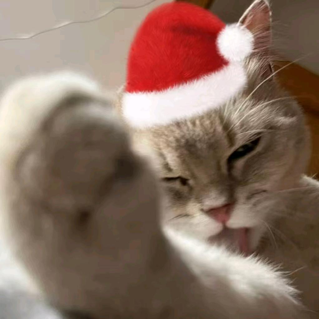 抹茶芋泥蒸蛋挞