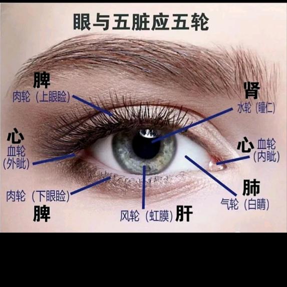 健康同行
