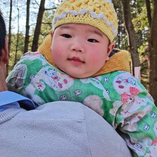 万水千山总是情