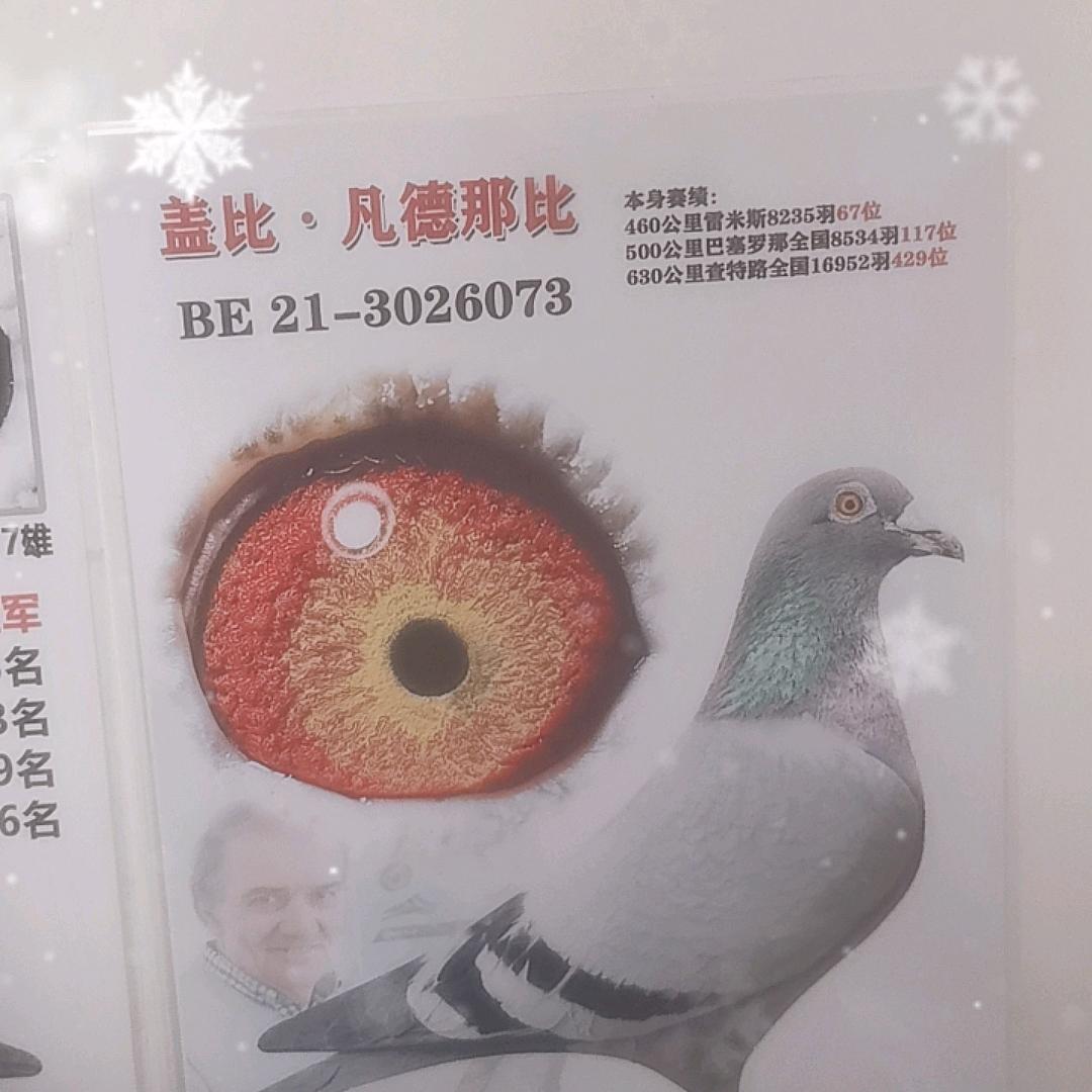邹启华精品潮玩铺