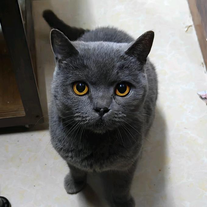 娜娜闲记