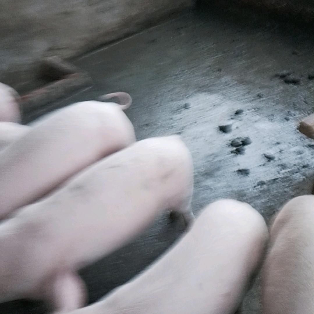用户2293248326378