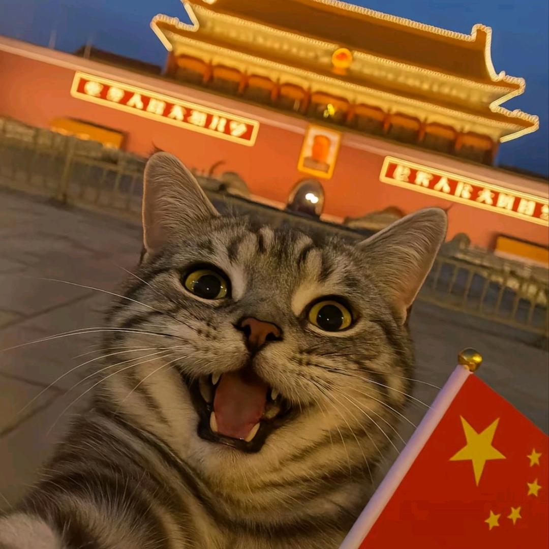 纤尘