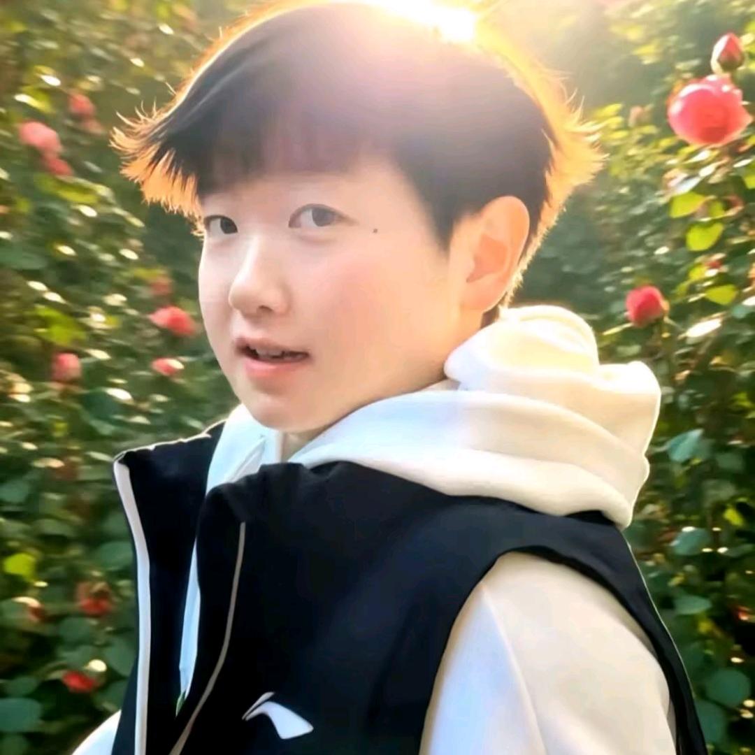 脆脆脆鲨.