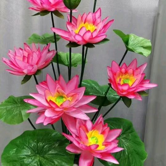 莲花开