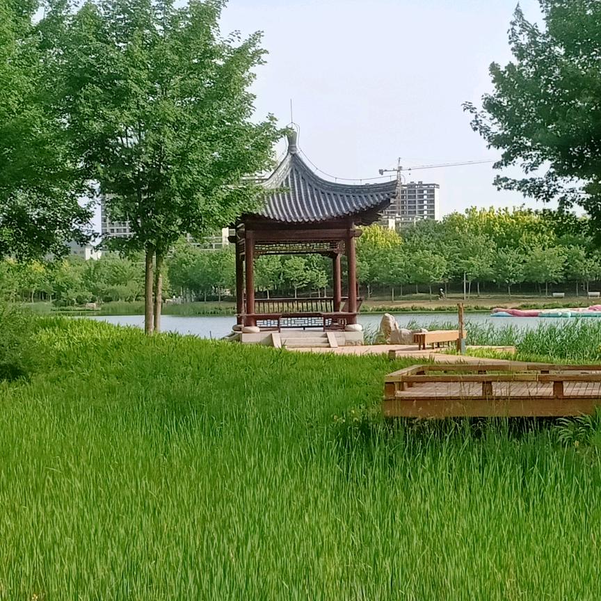 望天空云卷云舒