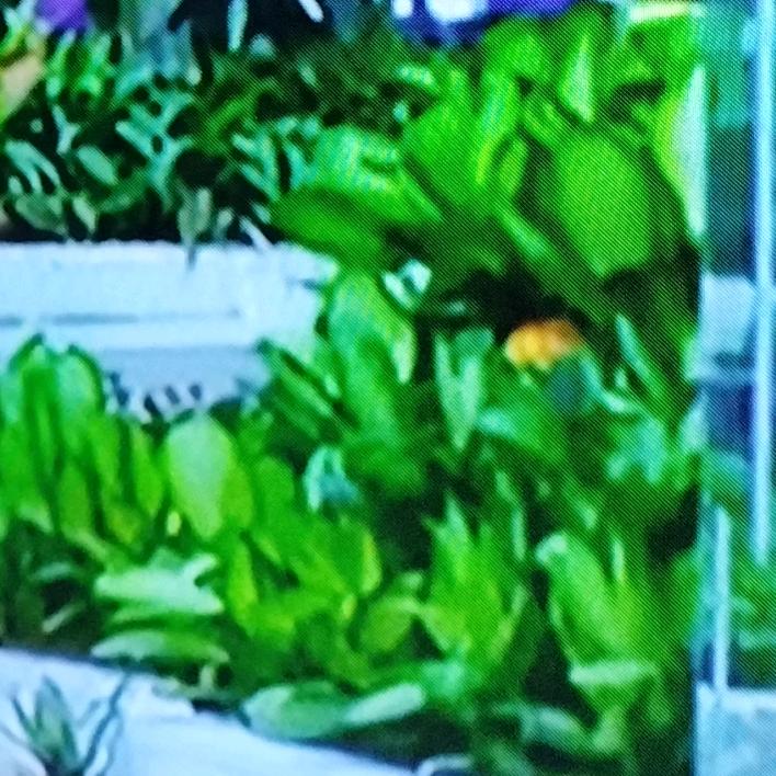 ꧁💞晴空万李💞᭄᪲ᩚ꯭ᩚ꧂