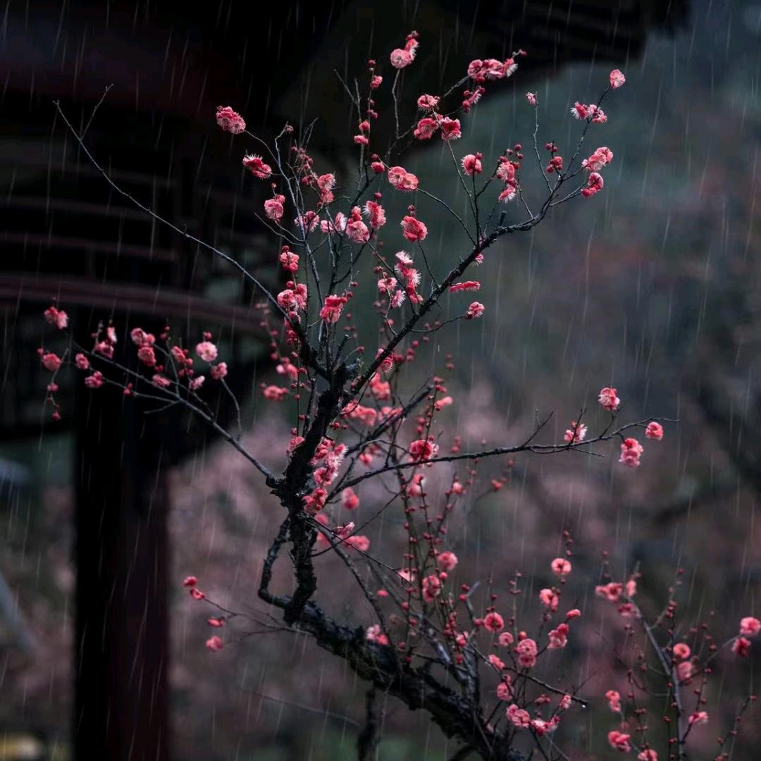 小悠悠