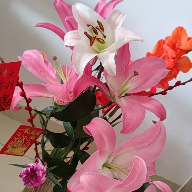 @木森大舞台（回放好听音乐）