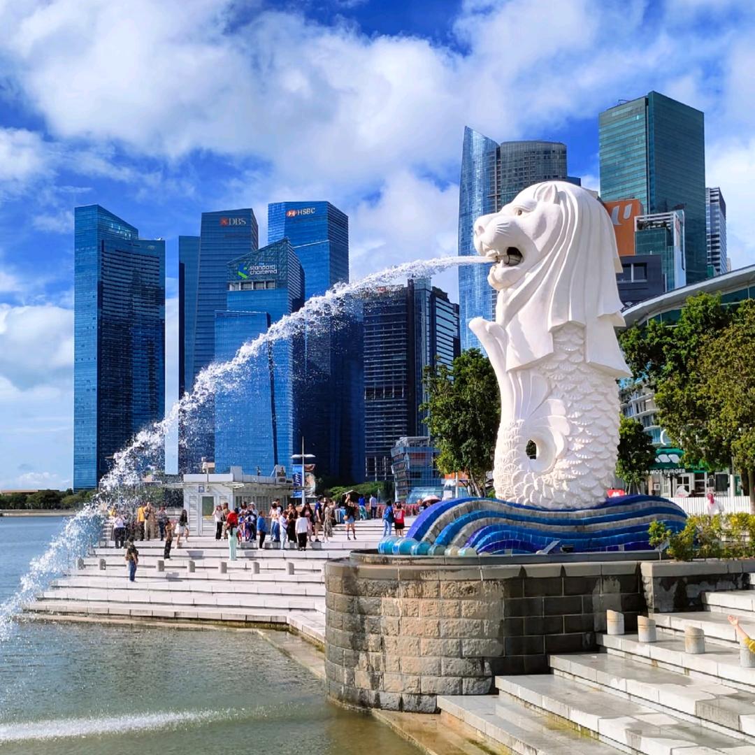 小徐和你聊出国