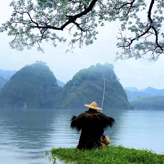 辅助水生动物上岸专家