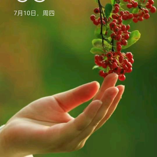 中国龙