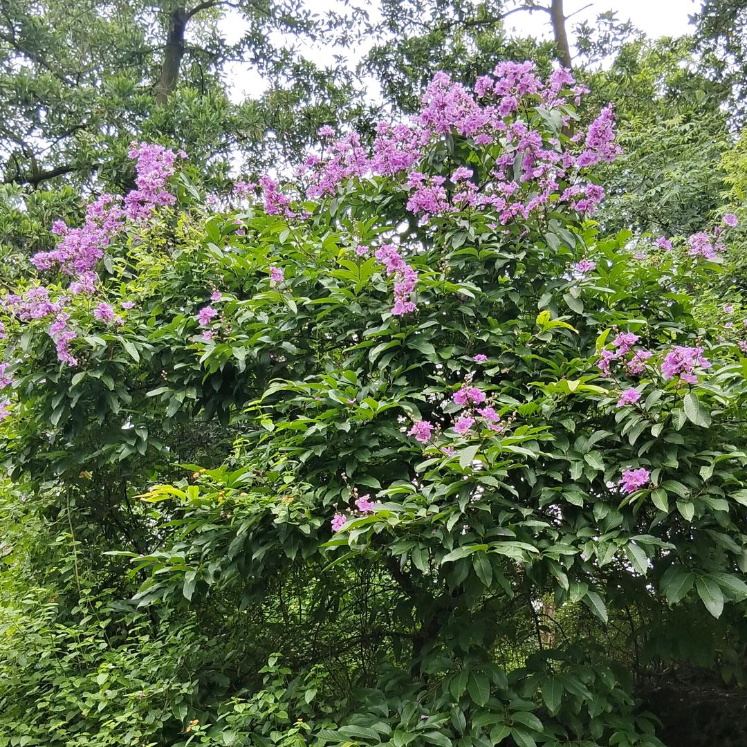 命㈠样珍惜ゝ