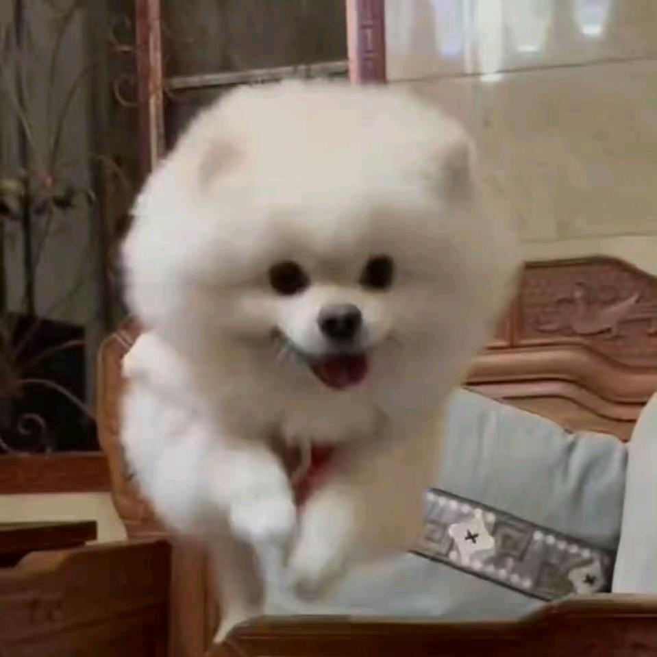 大王好运来