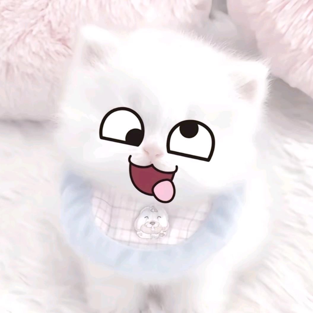 ㅤㅤ许我无忧