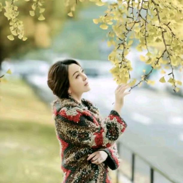 雪姨王琳品质甄选