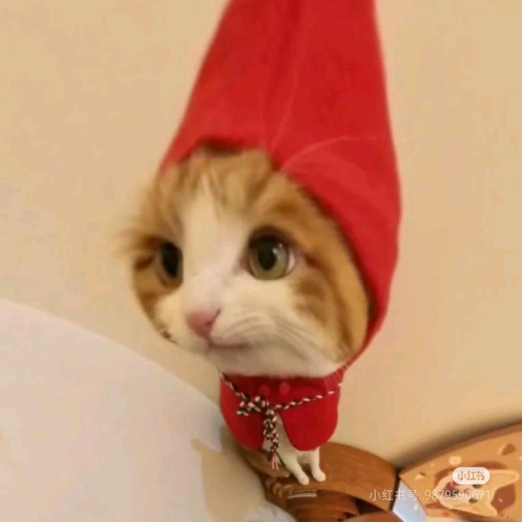 卡皮猕猴挑