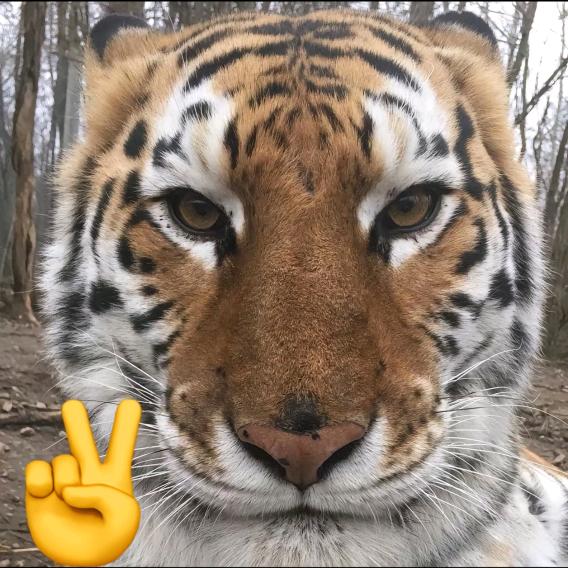 80岁柔弱老头大半夜照镜子被自己美到失眠