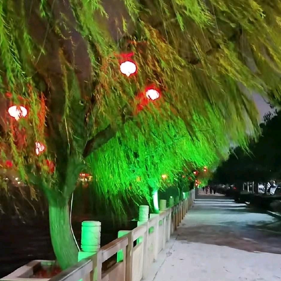 烟酒生