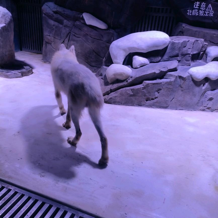 为你停留