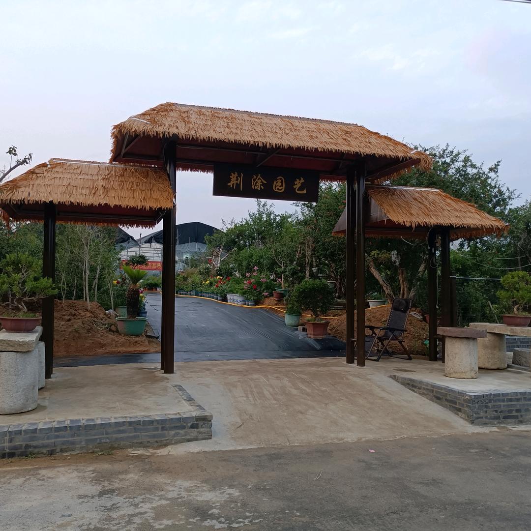 荆涂园艺（创业号）