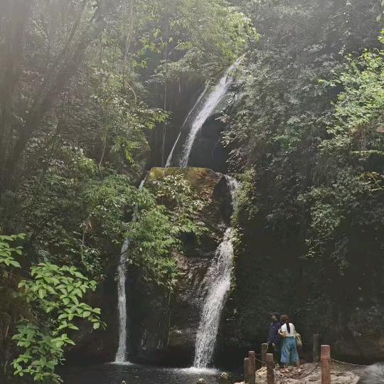 心己凉