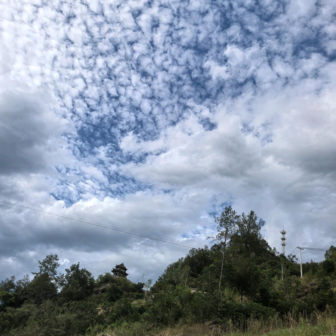 💫蜜柚柚🇨🇳