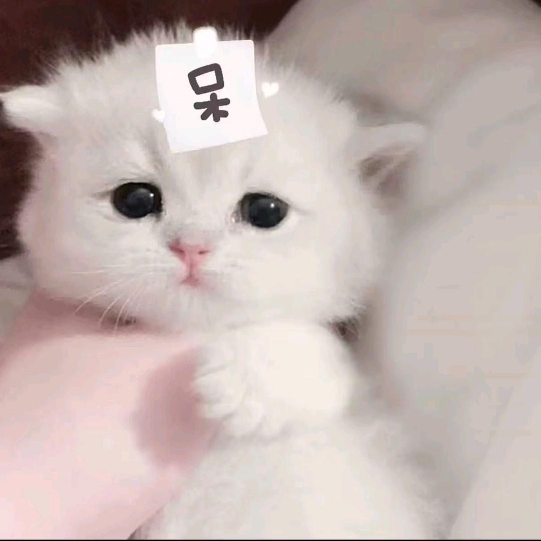 不理我就讨厌你