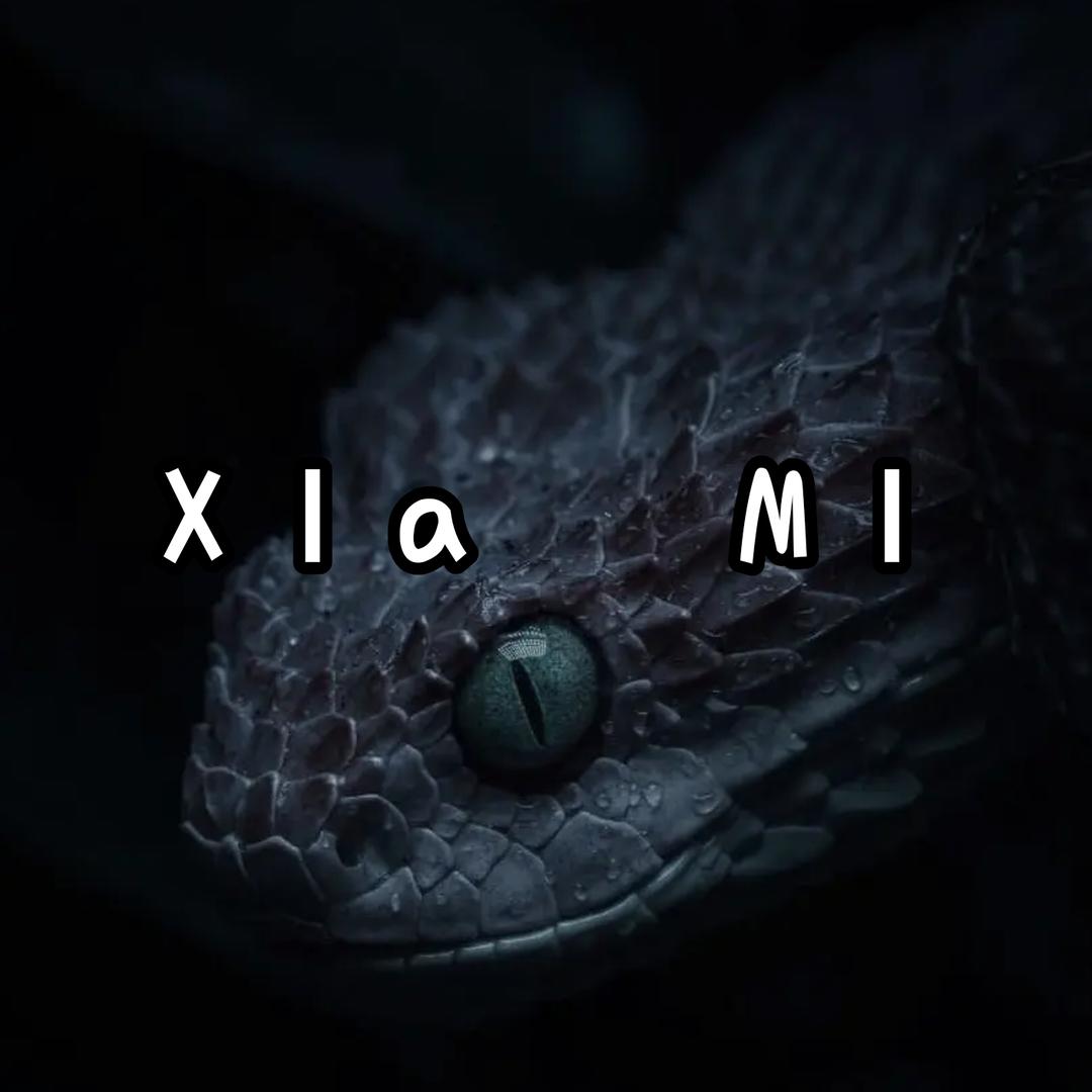XIAMI 🦐虾米