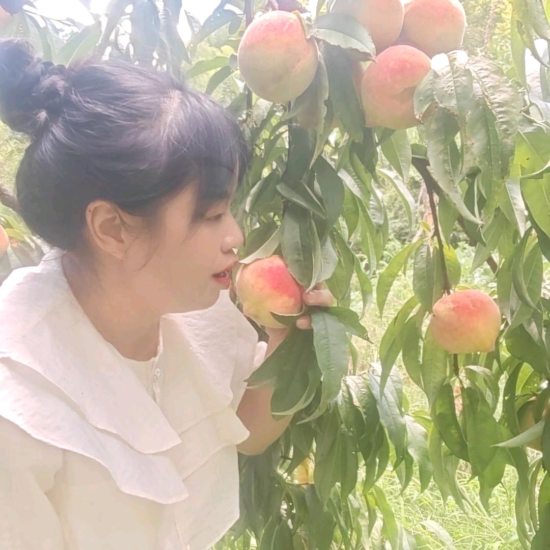 绽放