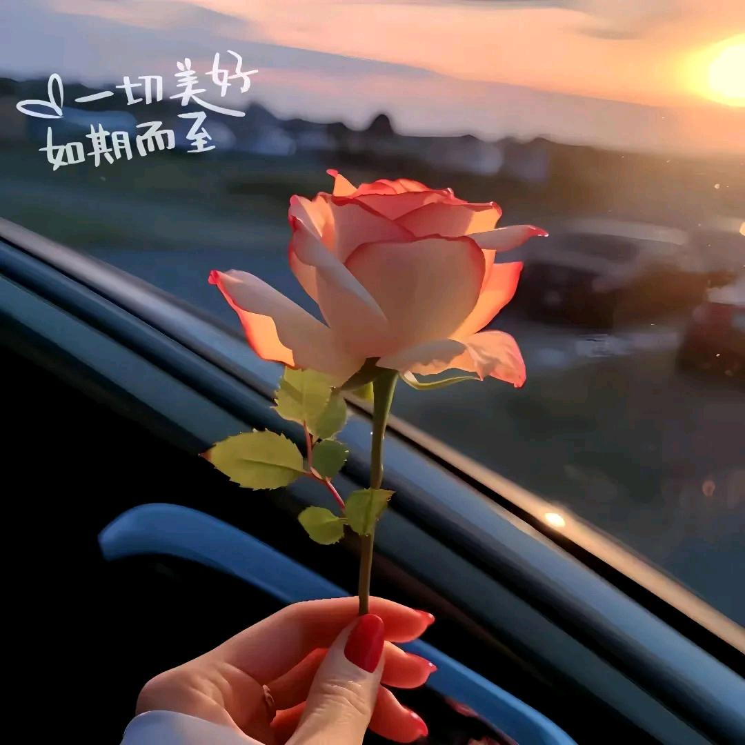时光飞逝