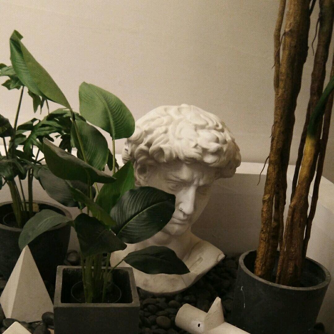 亚里士无德