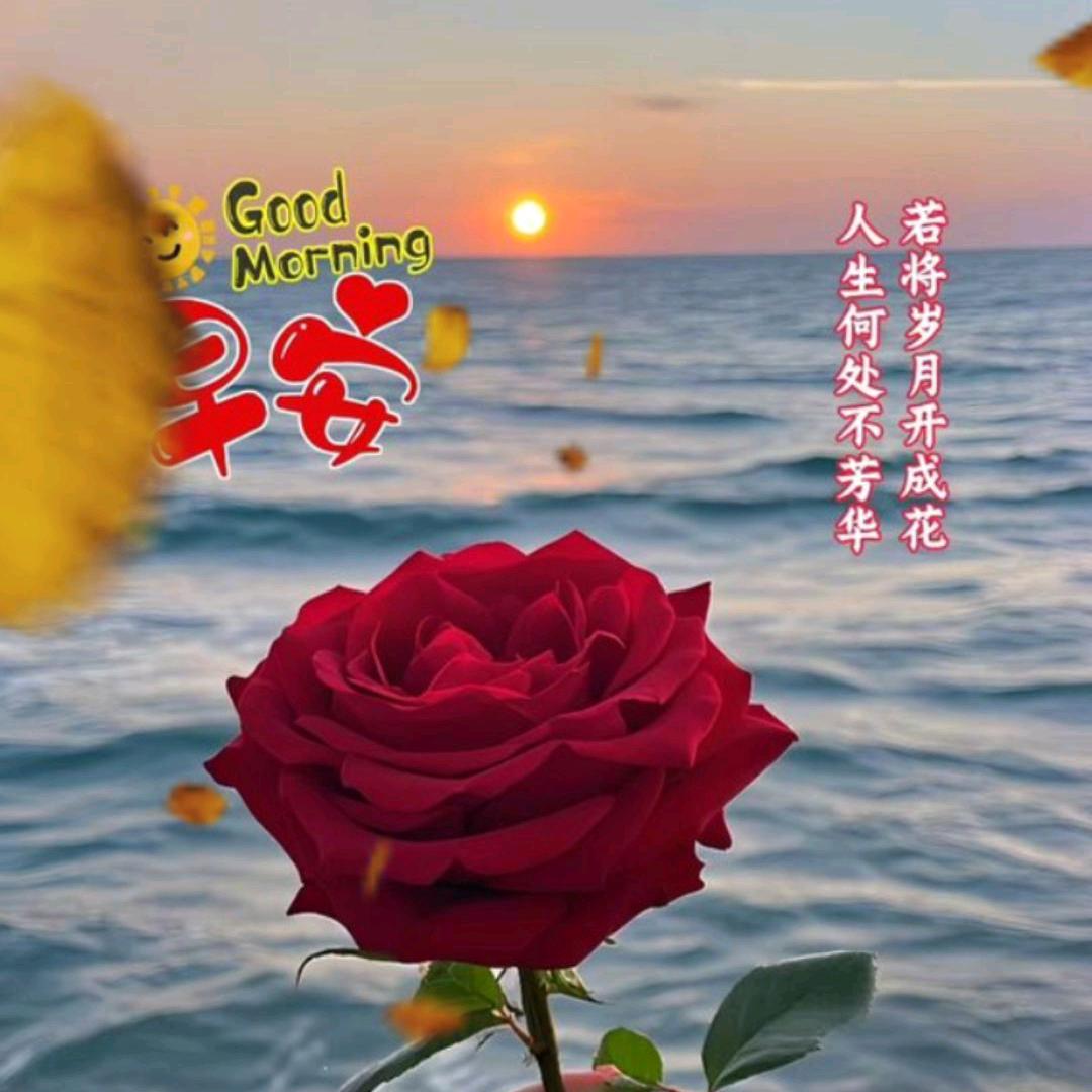 越来越好越幸福