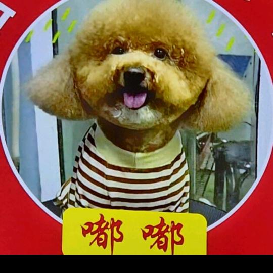 时光一去永不回