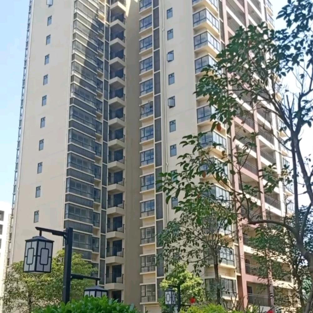 ꦹོ꫟共创༺༻时光ꦽཽ