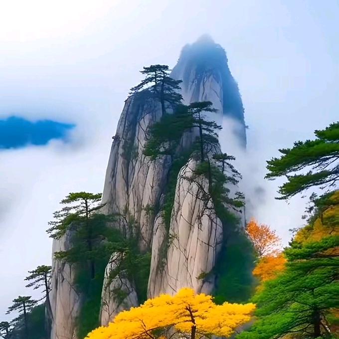墨染青衣