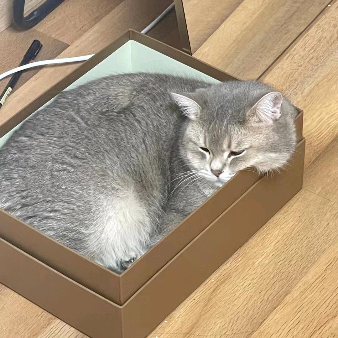 雪河樓的尾張一