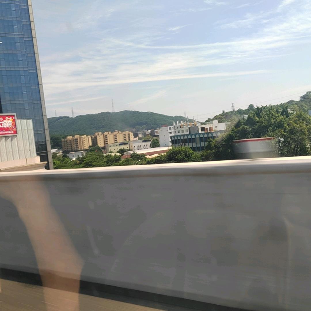 随缘
