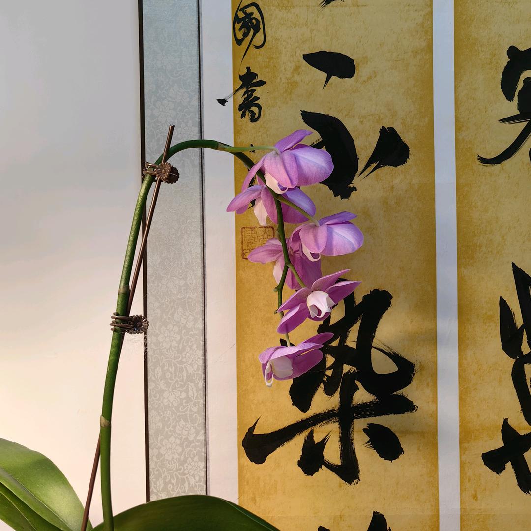 国学智慧