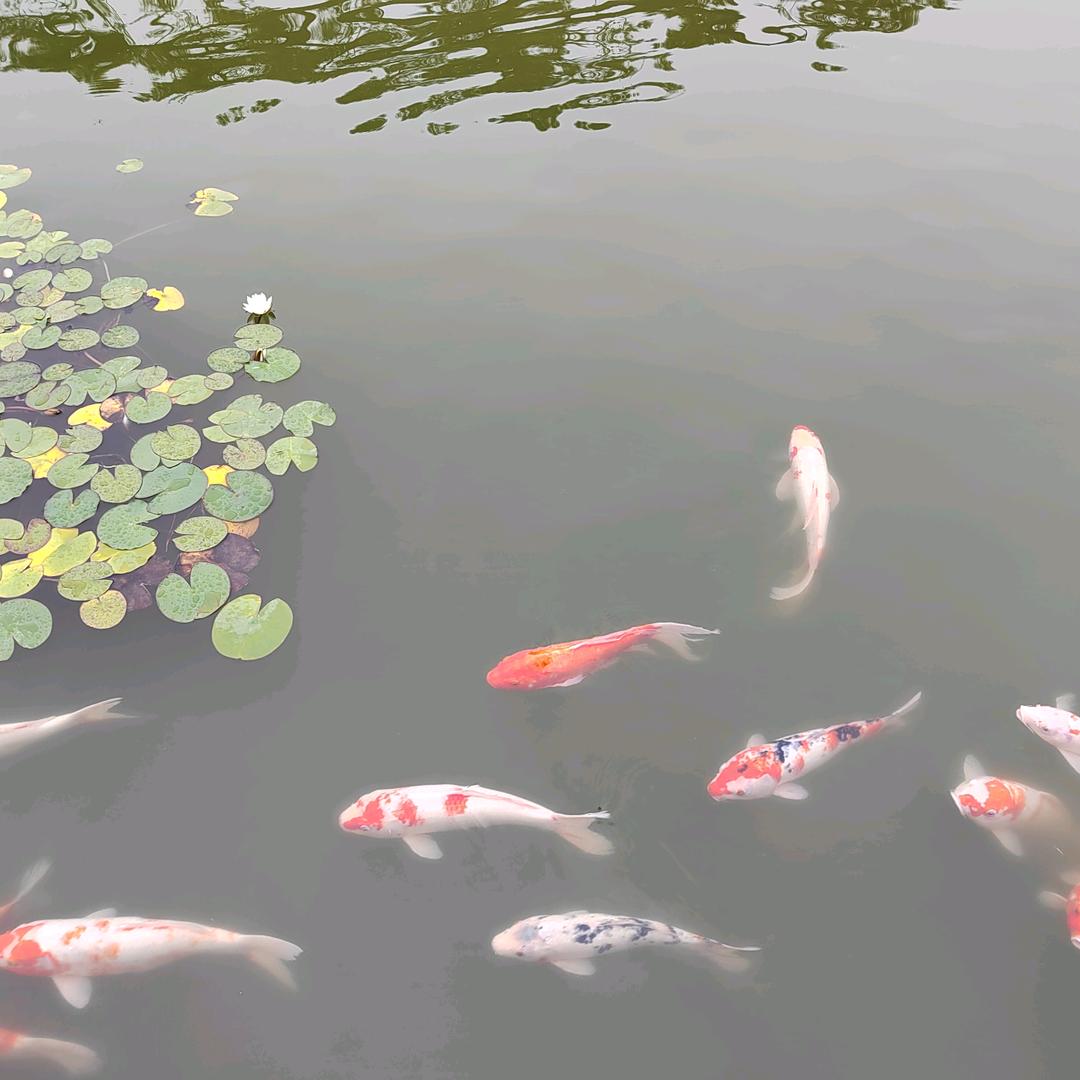如果有一天