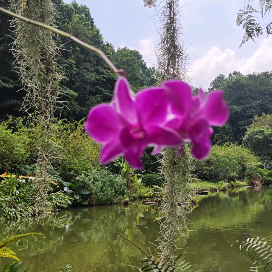 ☂️奈斯🧍‍♂️