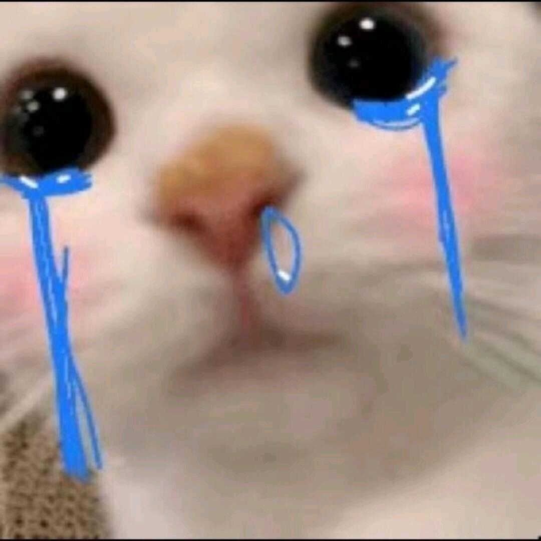 花小鱼