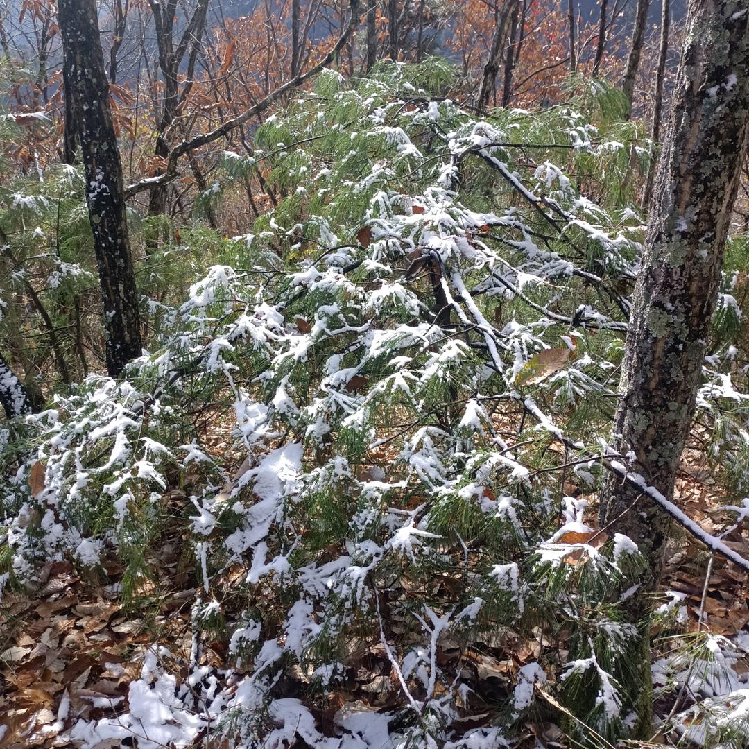 ( ˘ ³˘)♥往事清零