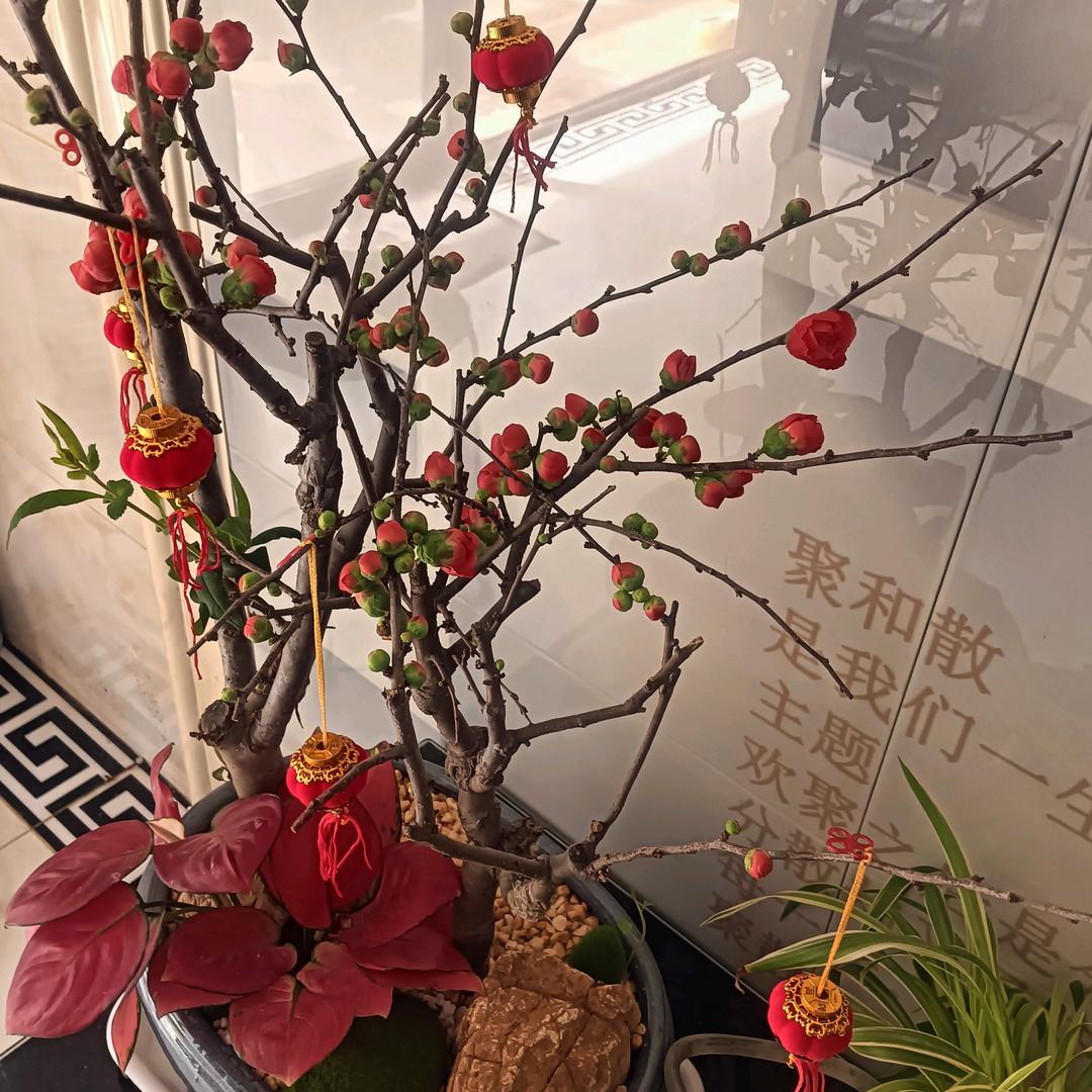 龙行天下