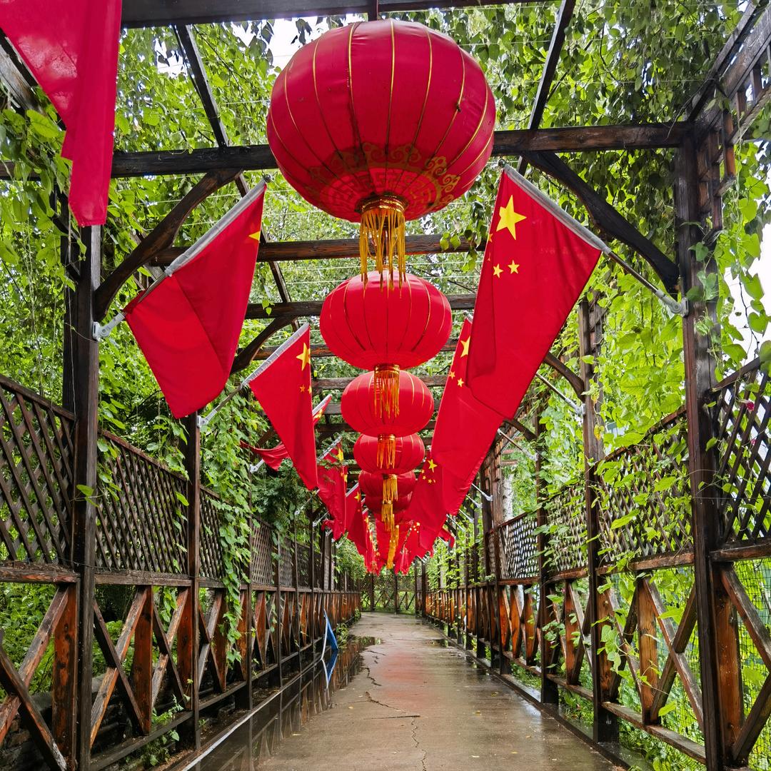 东北高哥