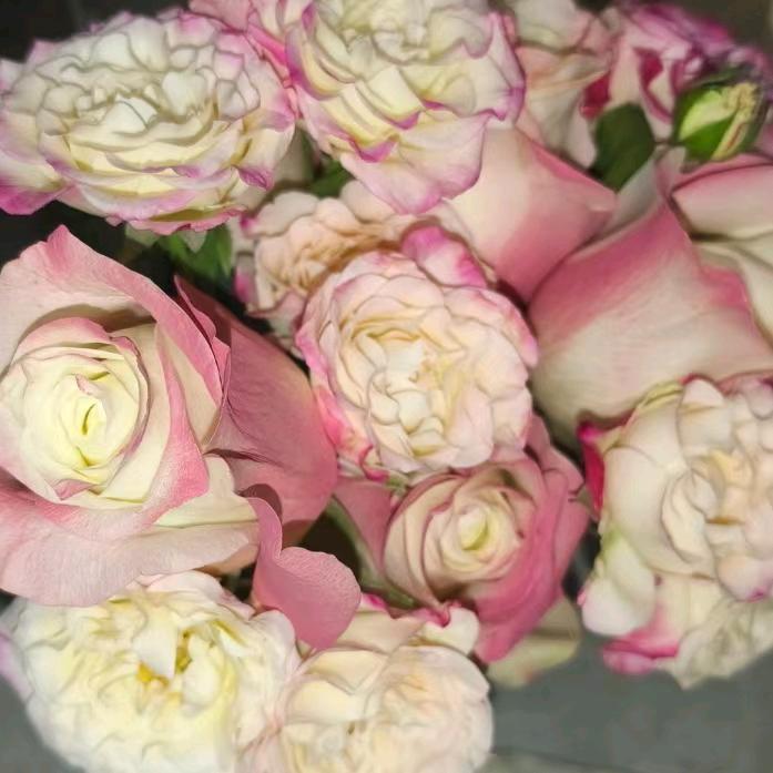 睡得早的棒棒糖