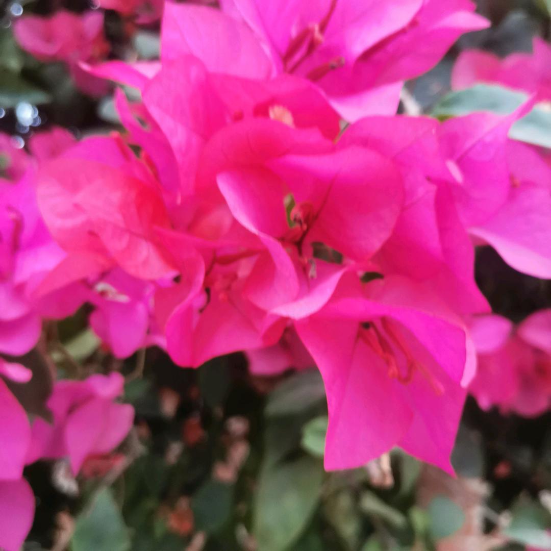 ～好好爱自己～